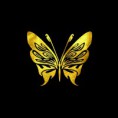 FAIRY BUTTERFLY